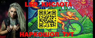 крисы Моздок