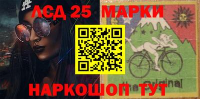 крисы Моздок