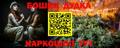 крисы Моздок