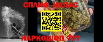 СК Можга