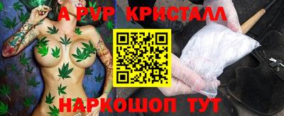 крисы Моздок