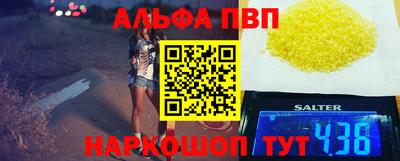 крисы Моздок