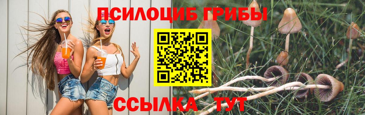 Псилоцибиновые грибы мухоморы Владивосток