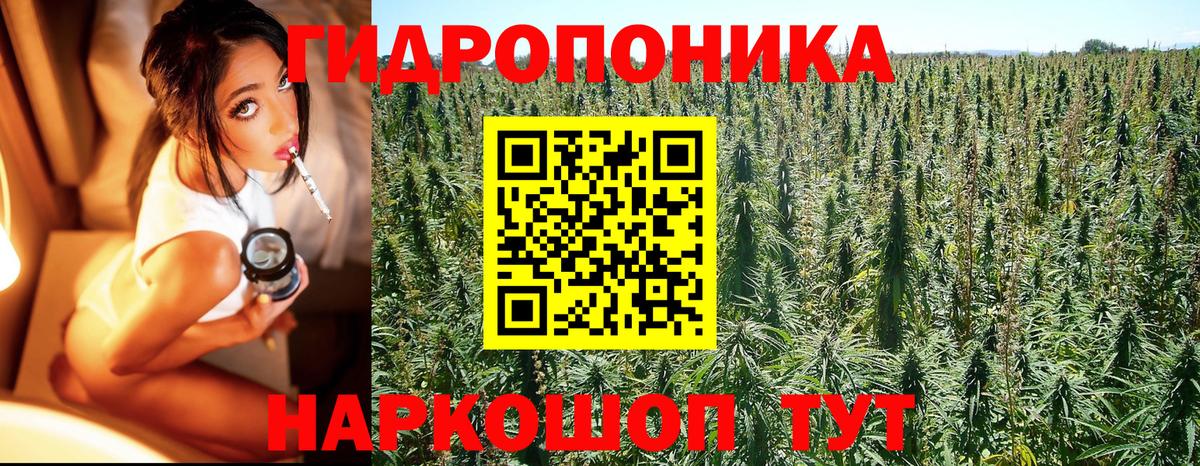 Конопля сатива  МАРИХУАНА тримм  Вход с VPN  Владивосток  Канабис план  Бошки Шишки Ganja 